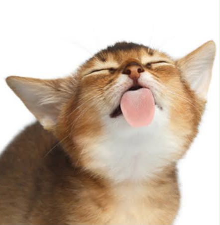 CC